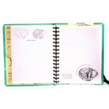 Записник B5 Sketchbook для записів і замальовок. Скетчбук-Малюємо тварин — фото 2