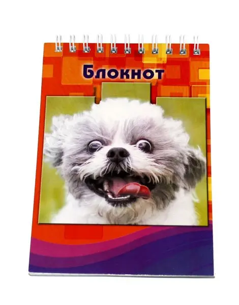 Блокнот А6 48 аркушів, клітинка, офсет, верхня спіраль Фолдер 00107 — фото 4