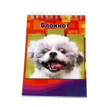Блокнот А6 48 аркушів, клітинка, офсет, верхня спіраль Фолдер 00107 — фото 4