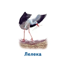 Гра Ranok настільна "Ігри Парочки. Світ тварин" 6 ігор 3+ А1392003У — фото 2