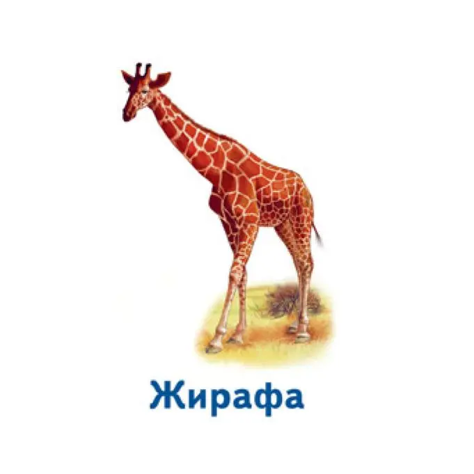 Гра Ranok настільна "Ігри Парочки. Світ тварин" 6 ігор 3+ А1392003У — фото 5