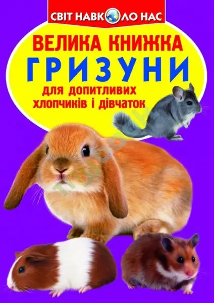 Энциклопедия "Большая книга для любознательных. Дикие кошки" Crystal Book Энциклопедия "Большая книга для любознательных. Дикие кошки" Crystal Book — фото 2
