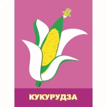 Книга Апельсин "Розмальовка" з підказками для малят, В5 12 сторінок, асорті РМ-13,15 — фото 6