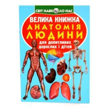 Энциклопедия  ''Большая книга для любознательных. Анатомия человека" Crystal Book