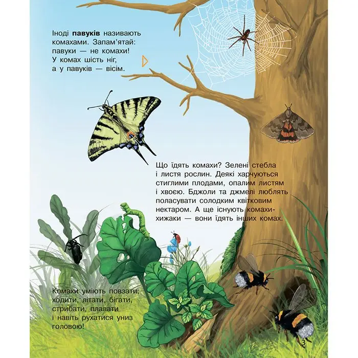 Книга "Космос", енциклопедія дошкільника Ranok С614009У — фото 7