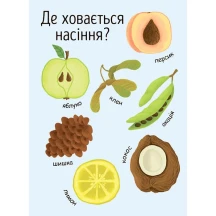 Моя перша енциклопедія Як виростає дерево? Ranok Л807004У — фото 6