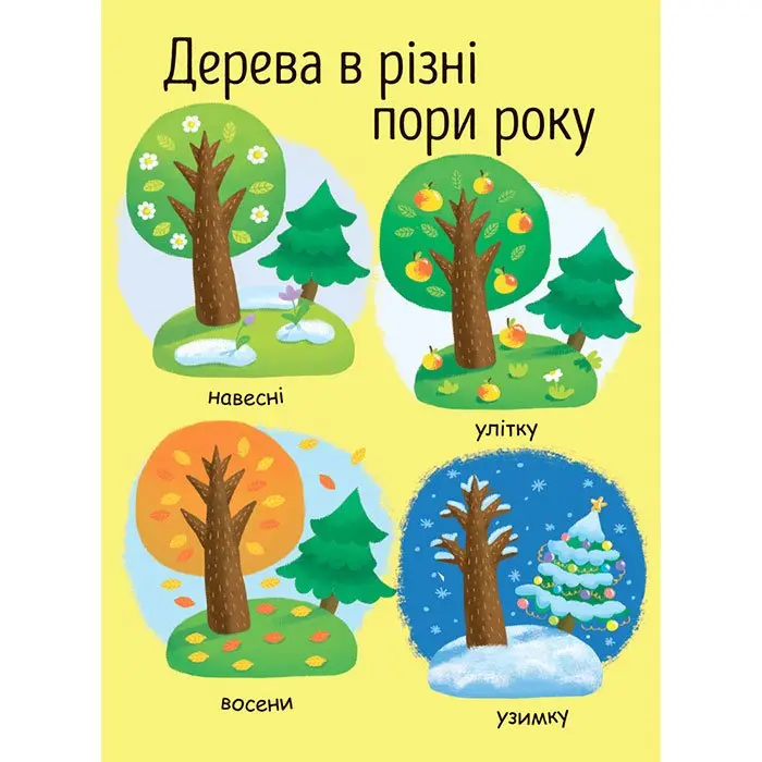 Моя перша енциклопедія Як виростає дерево? Ranok Л807004У — фото 7