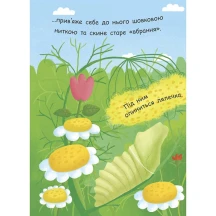 Моя перша енциклопедія Як народжується метелик? Ranok Л807010У — фото 5