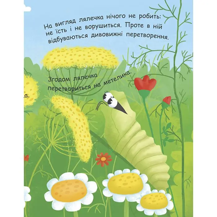 Моя перша енциклопедія Як народжується метелик? Ranok Л807010У — фото 6
