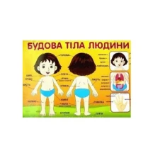 Плакат Ranok А2 "Будова тіла людини" 13104116У