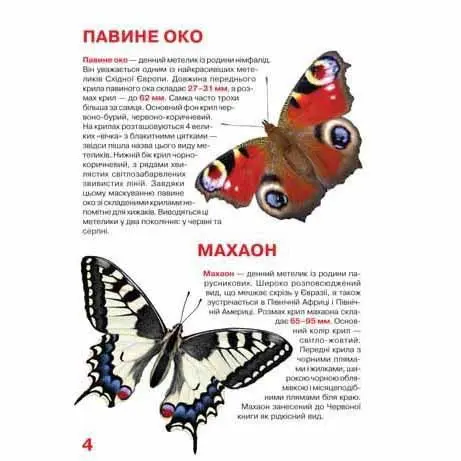 Энциклопедия ''Большая книга. Бабочки '' для любознательных Crystal Book Энциклопедия ''Большая книга. Бабочки '' для любознательных Crystal Book — фото 3