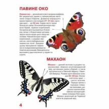 Энциклопедия ''Большая книга. Бабочки '' для любознательных Crystal Book — фото 3