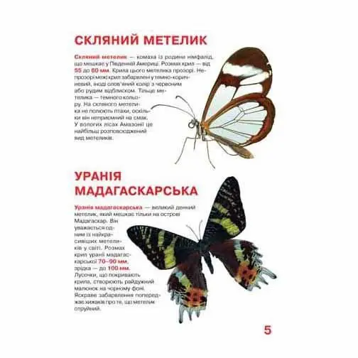 Энциклопедия ''Большая книга. Бабочки '' для любознательных Crystal Book Энциклопедия ''Большая книга. Бабочки '' для любознательных Crystal Book — фото 4
