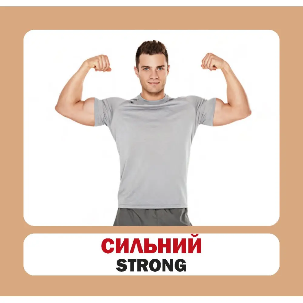 Навчальний посібник Сова "Розвиток малюка" - Прикметники, 26 фото, картки 11 х 10,5 см — фото 2