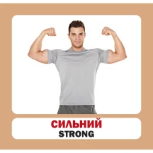 Навчальний посібник Сова "Розвиток малюка" - Прикметники, 26 фото, картки 11 х 10,5 см — фото 2