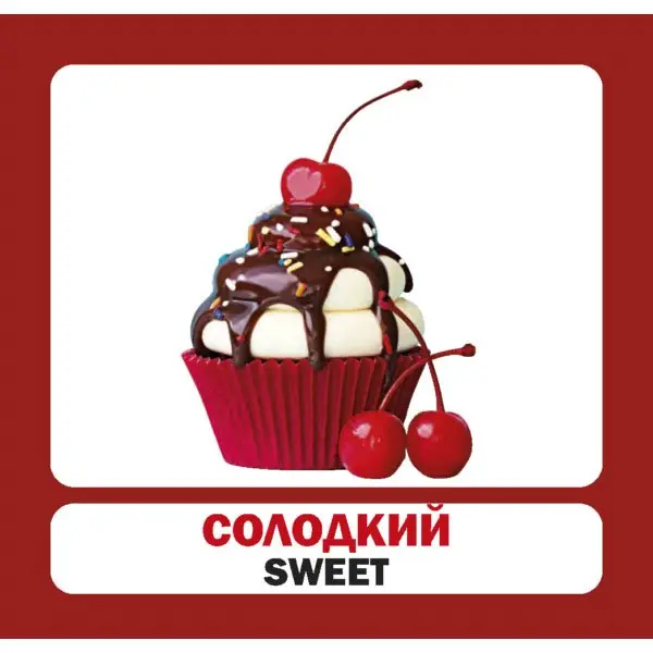 Навчальний посібник Сова "Розвиток малюка" - Прикметники, 26 фото, картки 11 х 10,5 см — фото 4