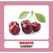 Навчальний посібник Сова "Розвиток малюка" - Ягоди, 17 фото, картки 11 х 10,5 см — фото 4