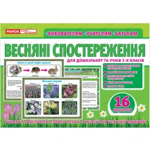 Дидактичний матеріал Ranok "Весняні спостереження", 16 карток, для дошкільнят та учнів 1 класу 13107148У
