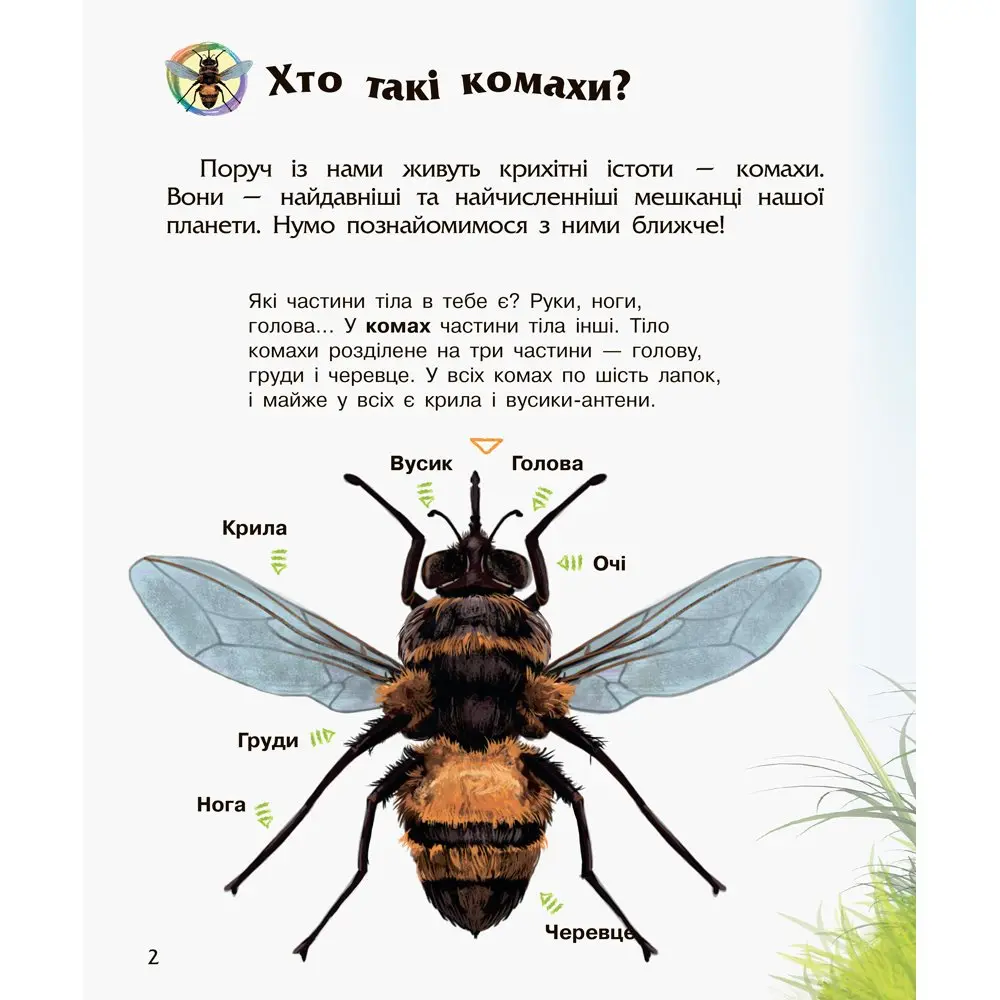 Енциклопедія дошкільника "Комахи" Ranok 2+ С614014У — фото 2