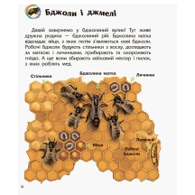 Енциклопедія дошкільника "Комахи" Ranok 2+ С614014У — фото 6