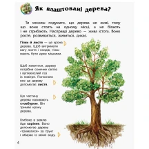Енциклопедія дошкільника "Ліс" Ranok 2+ С614016У — фото 4
