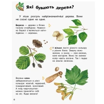 Енциклопедія дошкільника "Ліс" Ranok 2+ С614016У — фото 6