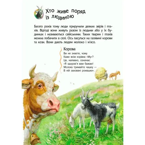 Енциклопедія дошкільника "Тварини" Ranok 2+ С614005У — фото 5