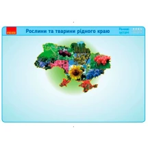 Комплект плакатов Ranok А2 "Утренние встречи. Растения и животные родной стороны" 1-4 классы НУШ Н100053У — фото 2