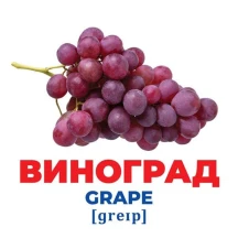 Наочний посібник "Геній з пелюшок. Фрукти та ягоди" 17 карток, англійські слова Ranok 0+ 10107195У — фото 2