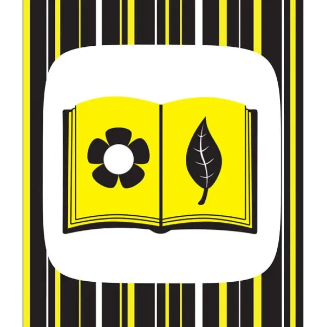 Книга "Контрастна книжка для немовляти: Ку-ку-си", складається Ranok 0+ А755014У — фото 4