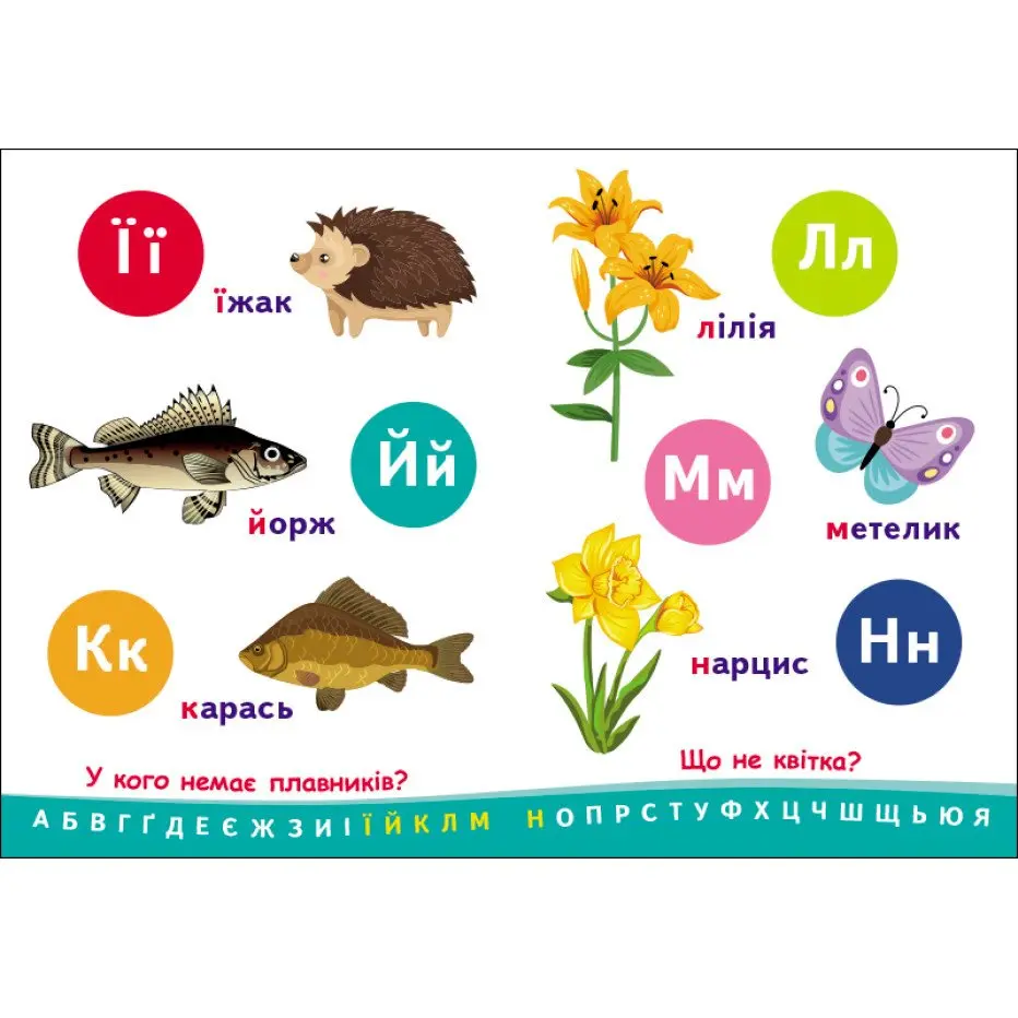 Книжка-картонка серії Перші кроки "Абетка" Ranok для малюків G1733001У — фото 3