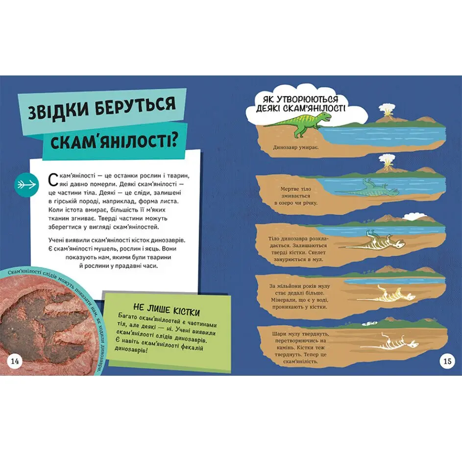 Книга "Енциклопедія юних розумників. Довколапитань" Ненсі Дікманн Ranok НЕ1475007У — фото 2