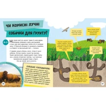 Книга "Енциклопедія юних розумників. Довколапитань" Ненсі Дікманн Ranok НЕ1475007У — фото 7