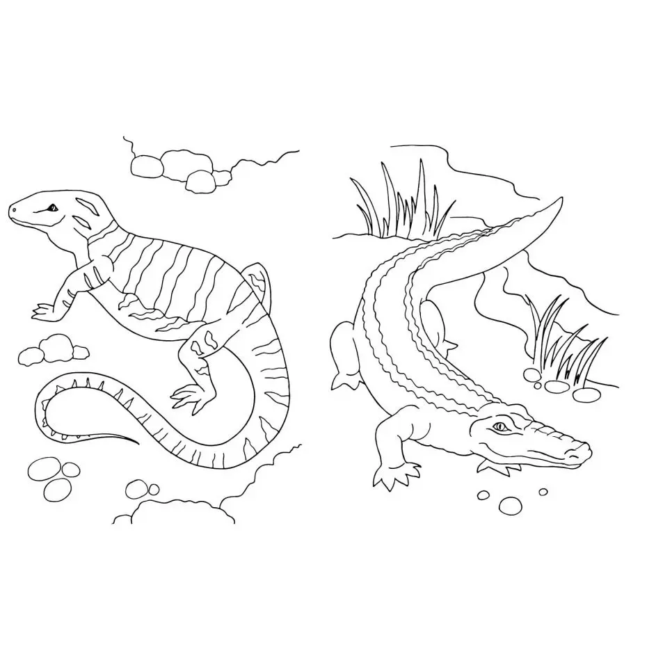 Книга Ranok "Велика книга розмальовок. Тварини" С1736002У — фото 4