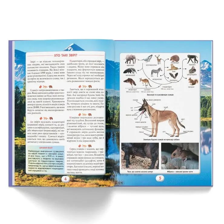 Енциклопедія "Ви маєте це знати. Світ звірів" 6+ Crystal Book — фото 3