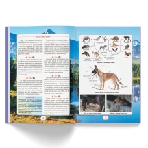 Енциклопедія "Ви маєте це знати. Світ звірів" 6+ Crystal Book — фото 3