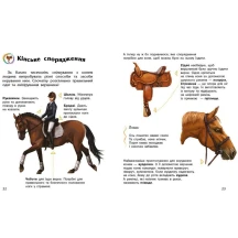 Книга "Кони", энциклопедия дошкольника, Ranok 2+ С614037У — фото 4