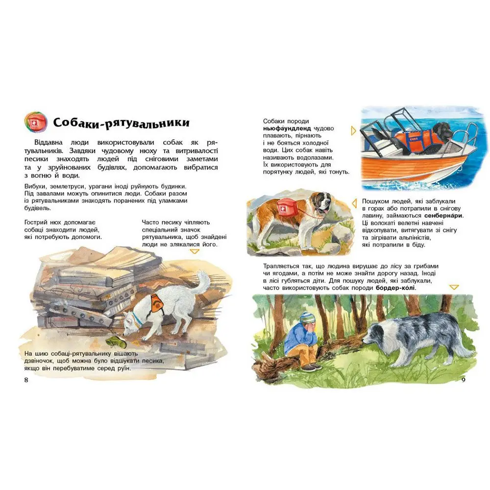 Енциклопедія дошкільника "Собаки" Ranok 2+ С614035У — фото 4
