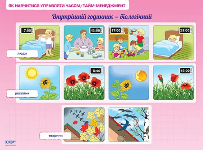 Плакати Основа "Я досліджую світ" - комплект з 8 двосторонніх плакатів 1 клас НУШ ЗПП029 — фото 3
