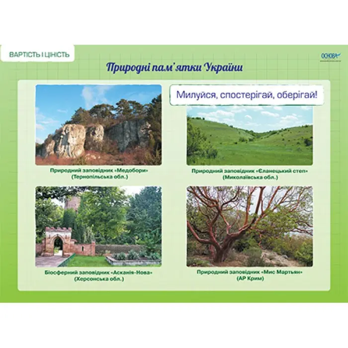 Плакат Основа "Я досліджую світ", комплект з 8 плакатів, 2 клас НУШ ЗПП028 — фото 3