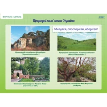 Плакат Основа "Я досліджую світ", комплект з 8 плакатів, 2 клас НУШ ЗПП028 — фото 3