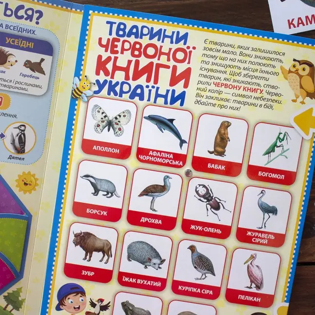 Лепбук Ranok "Тварини. Різноманітність тварин" НУШ 13210017У — фото 2