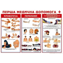 Плакат А2 "Перша медична допомога" Світ поздоровлень П-167