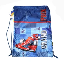 Сумка для взуття CLASS Grand Prix 46 х 33 см, різнокольорова 9845