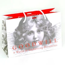 Пакет подарунковий Carmani Goodwill 30 х 20 х 12 см X052