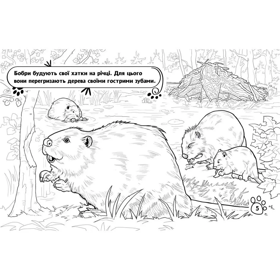 Книга- розмальовка Ranok серії "Тварини", асорті А583010У — фото 4