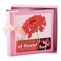Фотоальбом 10 х 15 х 200, Chako Whispers of Flower in Box Light Pink в подарунковій коробці C-46200RCL