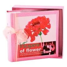Фотоальбом 10 х 15 х 200, Chako Whispers of Flower in Box Pink в подарунковій коробці C-46200RCL