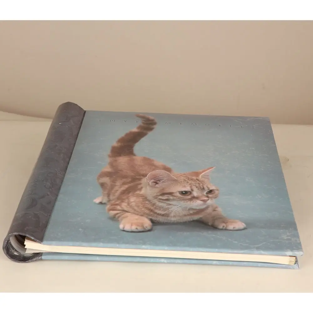 Фотоальбом Chako Cats New 22 х 28 см, 20 магнитных листов 9821 Фотоальбом Chako Cats New 22 х 28 см, 20 магнитных листов 9821 — фото 3