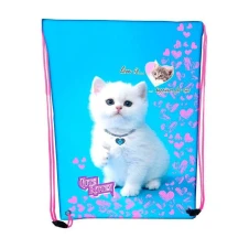 Сумка для взуття Class "Cute Kitten" 46 х 33 см, 210D PL, різнокольорова 2126C